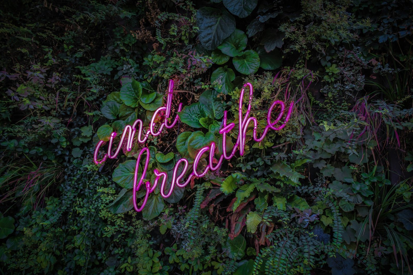 purple neon sign that says 'and breath' on plants that signifies the sacred pause