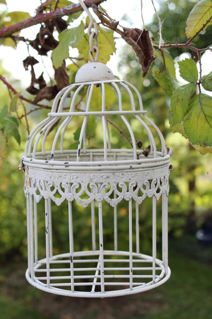 cage, tree, nature, garden, deco, vintage